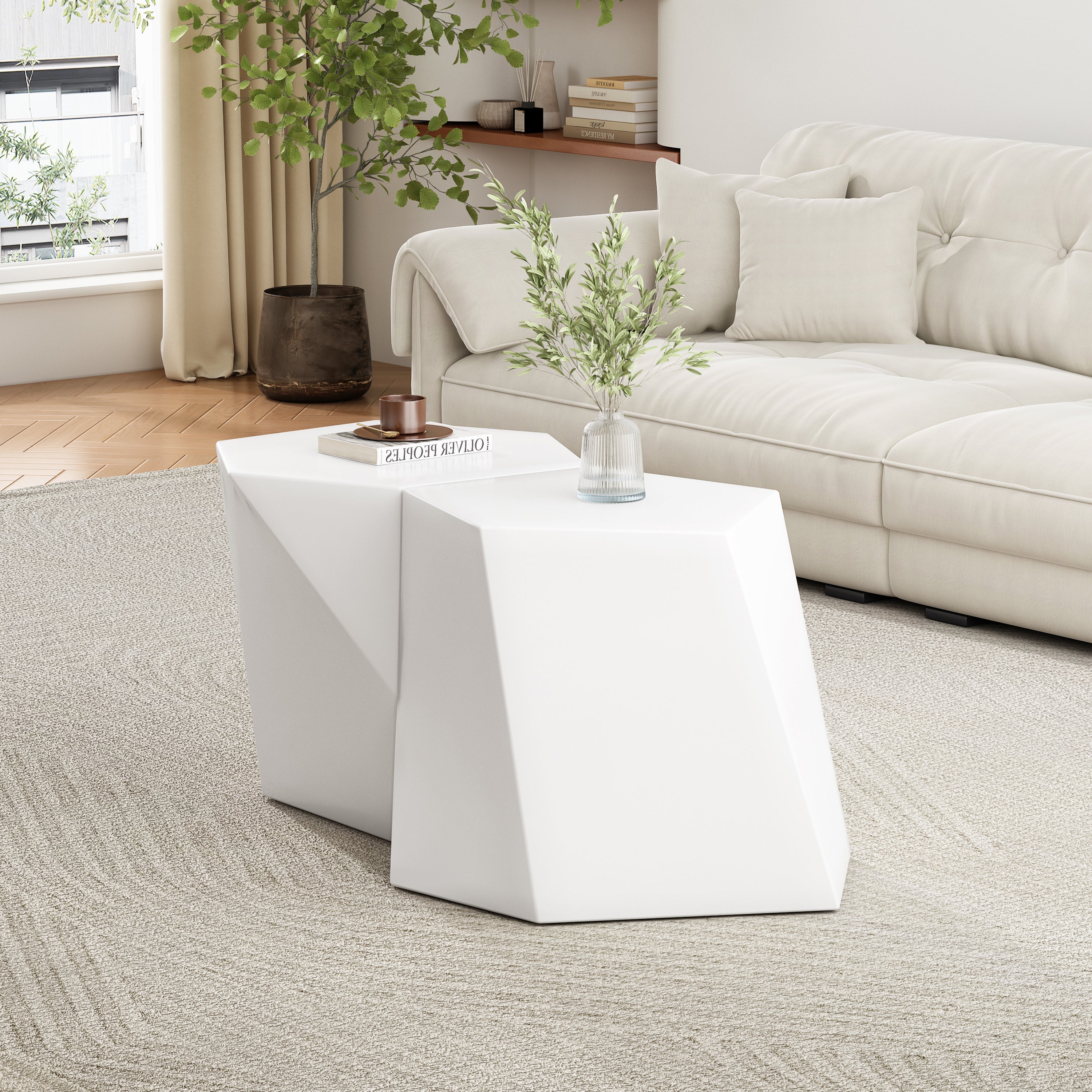 Modern Coffee Table Set